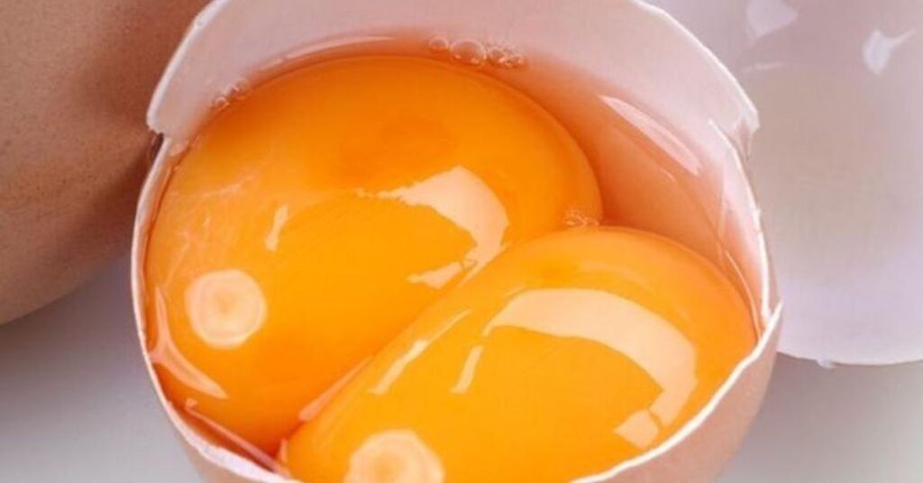 Interpreting the Spiritual Meaning of Double Yolk Eggs