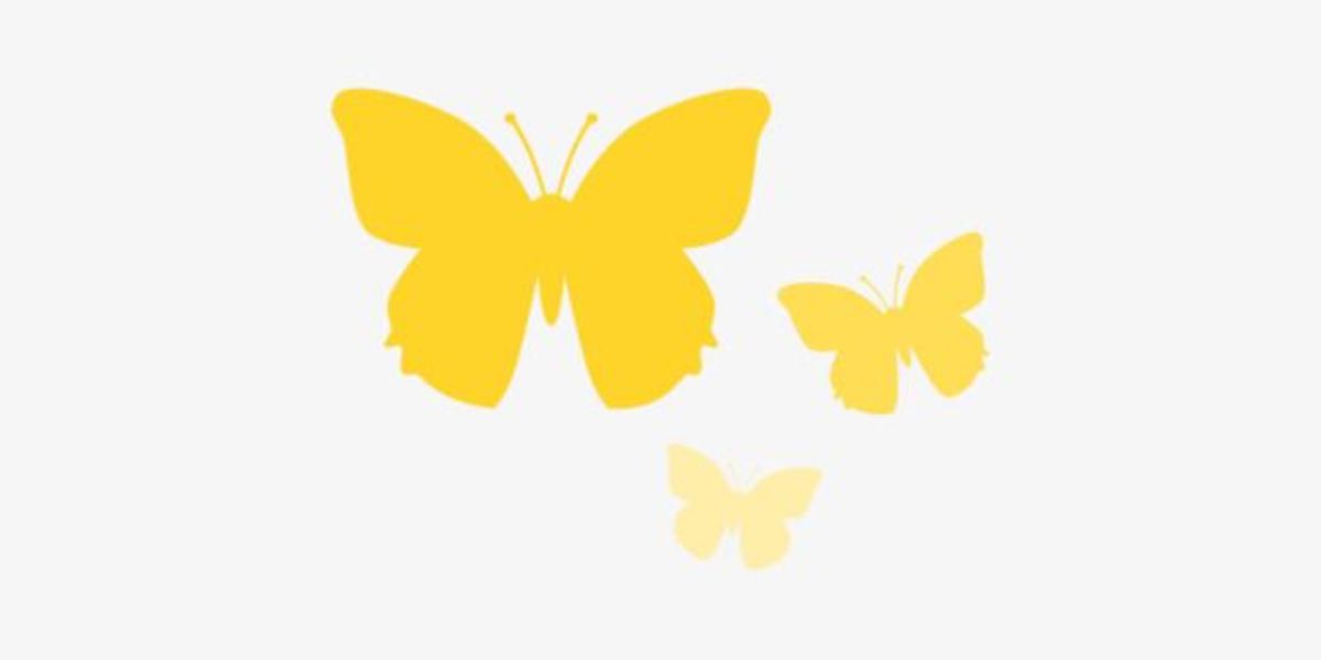 Yellow Butterfly